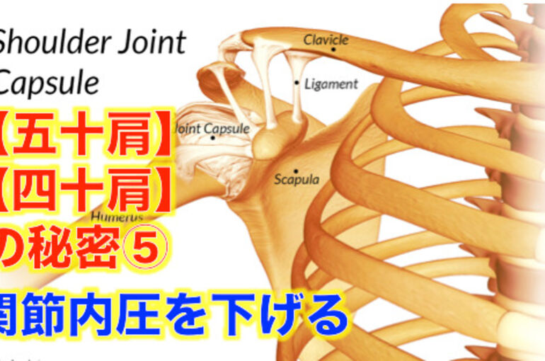 o0546031214128860584
